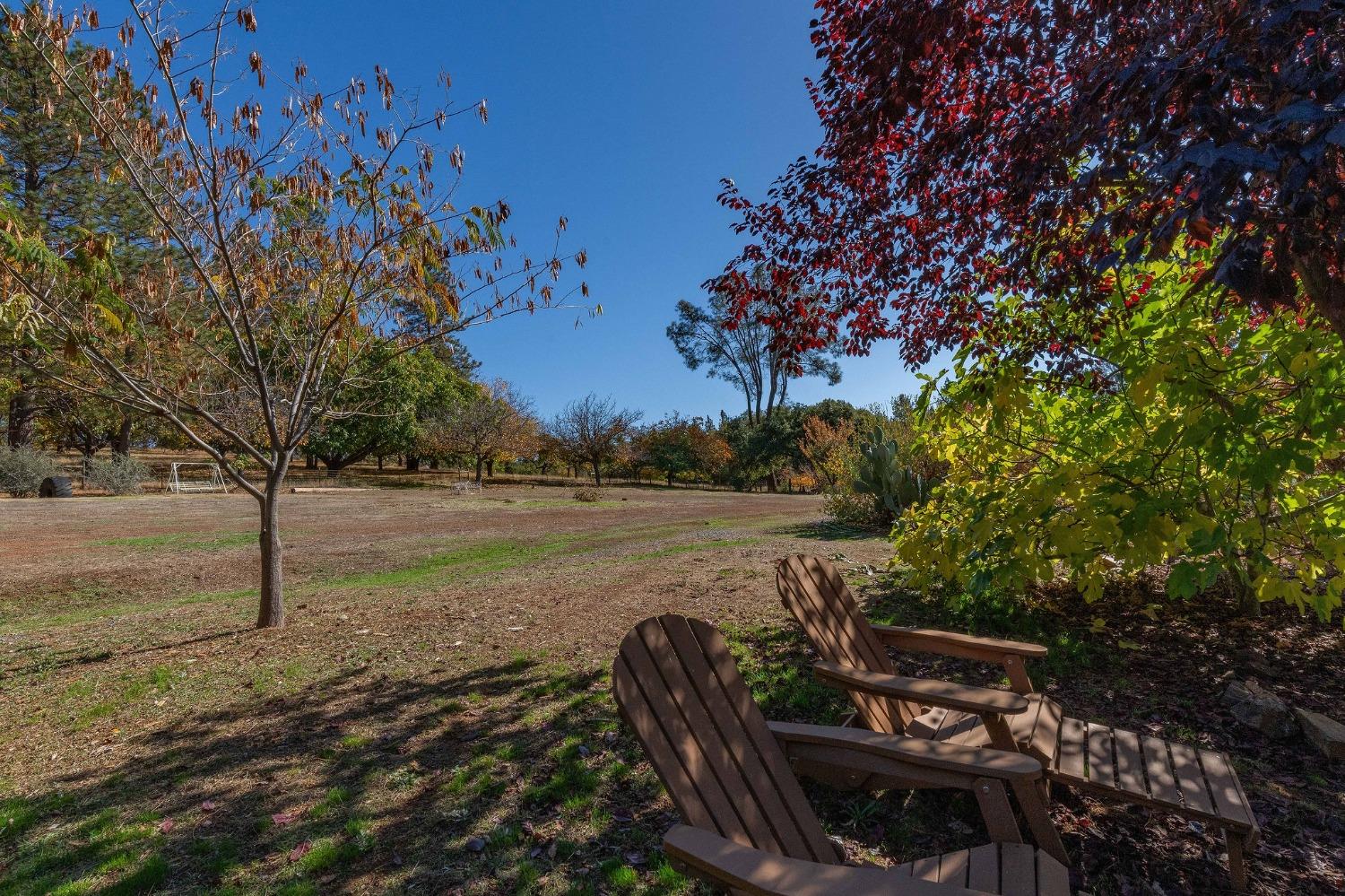 15579 Jesus Maria Road Mokelumne Hill, CA 95245 - Photo 47 of 91
