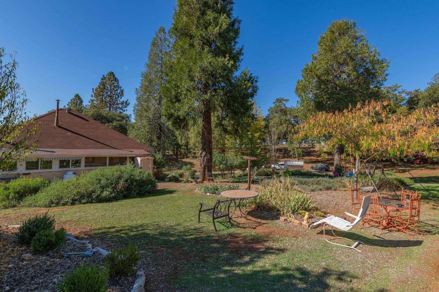 15579 Jesus Maria Road Mokelumne Hill, CA 95245 - Photo 48 of 91