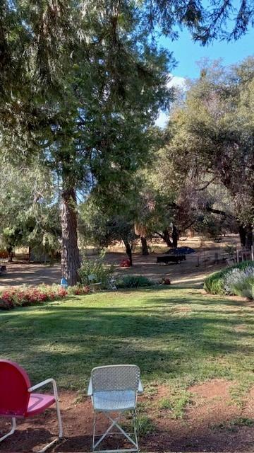 15579 Jesus Maria Road Mokelumne Hill, CA 95245 - Photo 78 of 91