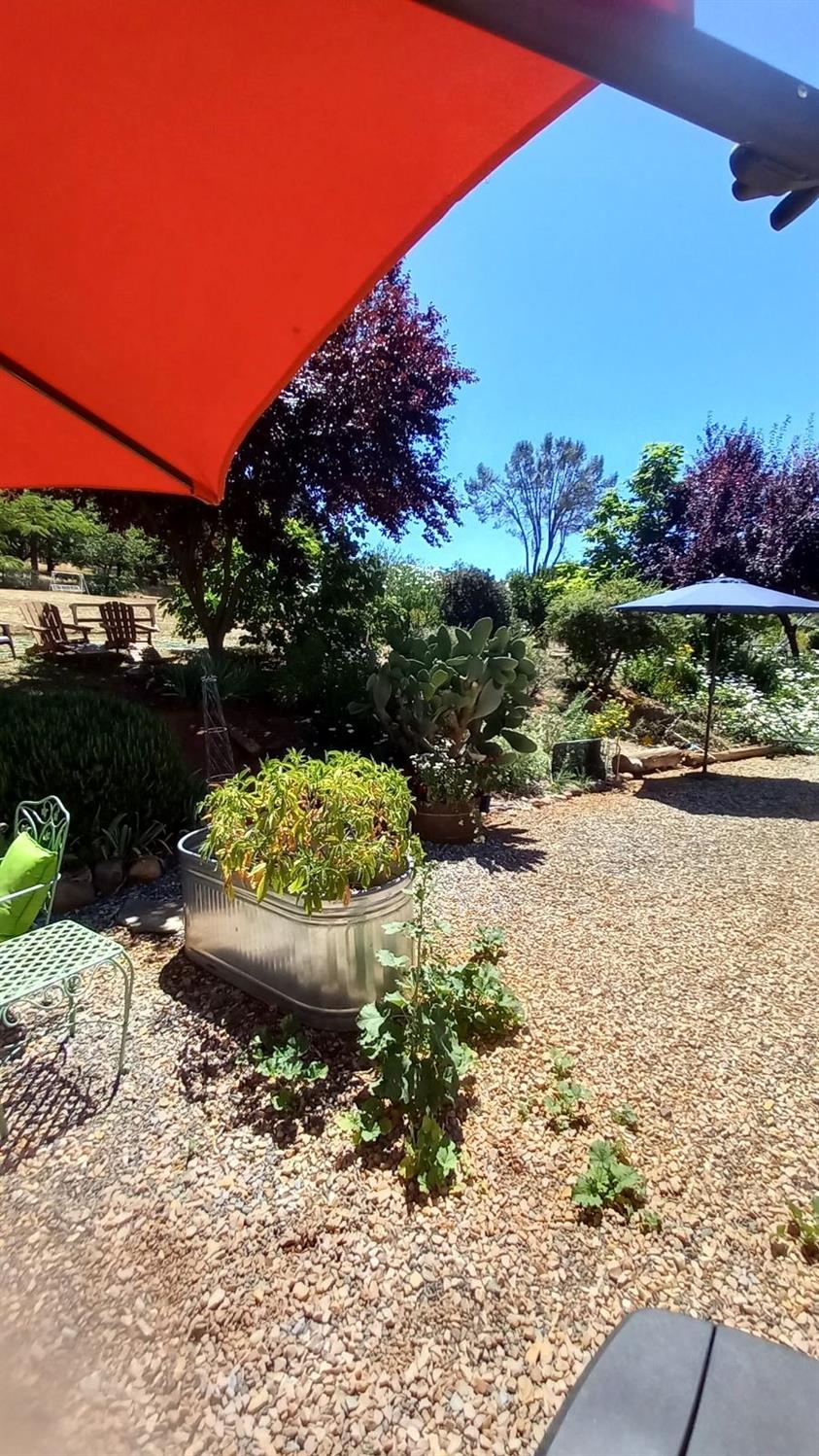 15579 Jesus Maria Road Mokelumne Hill, CA 95245 - Photo 79 of 91