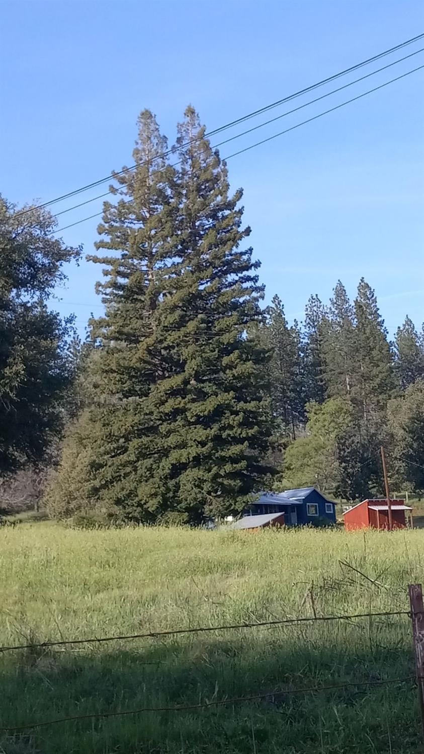 15579 Jesus Maria Road Mokelumne Hill, CA 95245 - Photo 81 of 91
