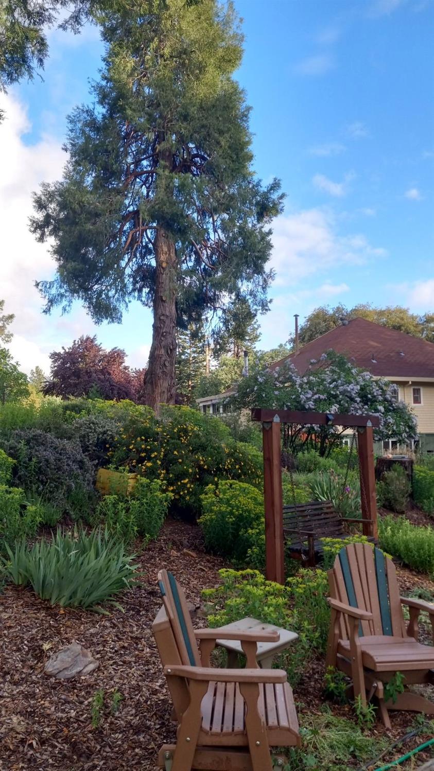 15579 Jesus Maria Road Mokelumne Hill, CA 95245 - Photo 83 of 91