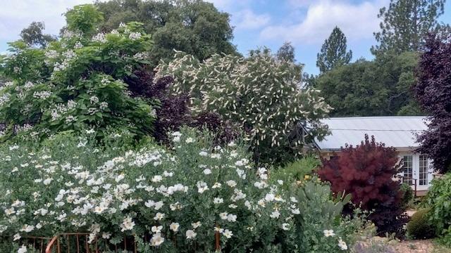 15579 Jesus Maria Road Mokelumne Hill, CA 95245 - Photo 89 of 91