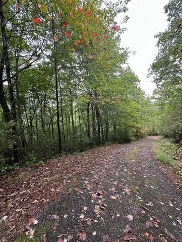 $149,000 | 0 Sequoia Hills Lane, Tiger, GA 30576