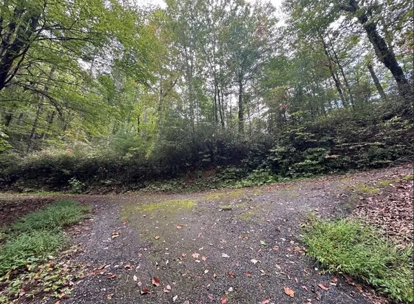 a view of outdoor space with trees all around