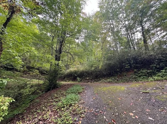 $149,000 | 0 Sequoia Hills Lane, Tiger, GA 30576