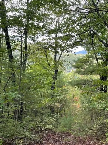 $149,000 | 0 Sequoia Hills Lane, Tiger, GA 30576