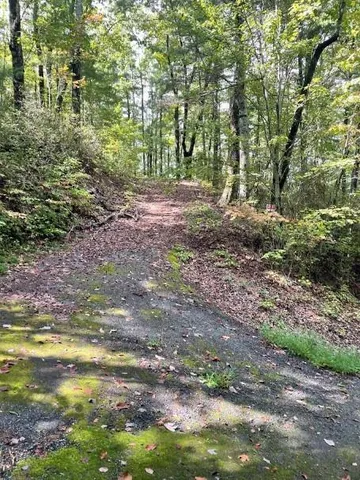 $149,000 | 0 Sequoia Hills Lane, Tiger, GA 30576