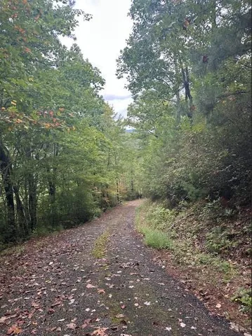 $149,000 | 0 Sequoia Hills Lane, Tiger, GA 30576