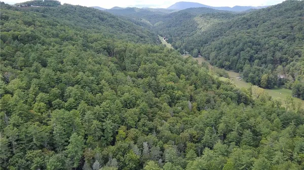a view of a bunch of trees in a field