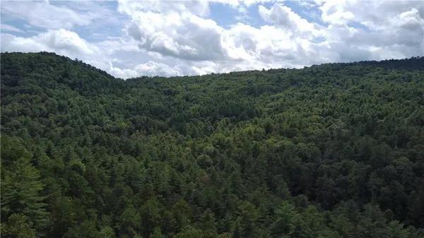 a view of a city and a lots of trees