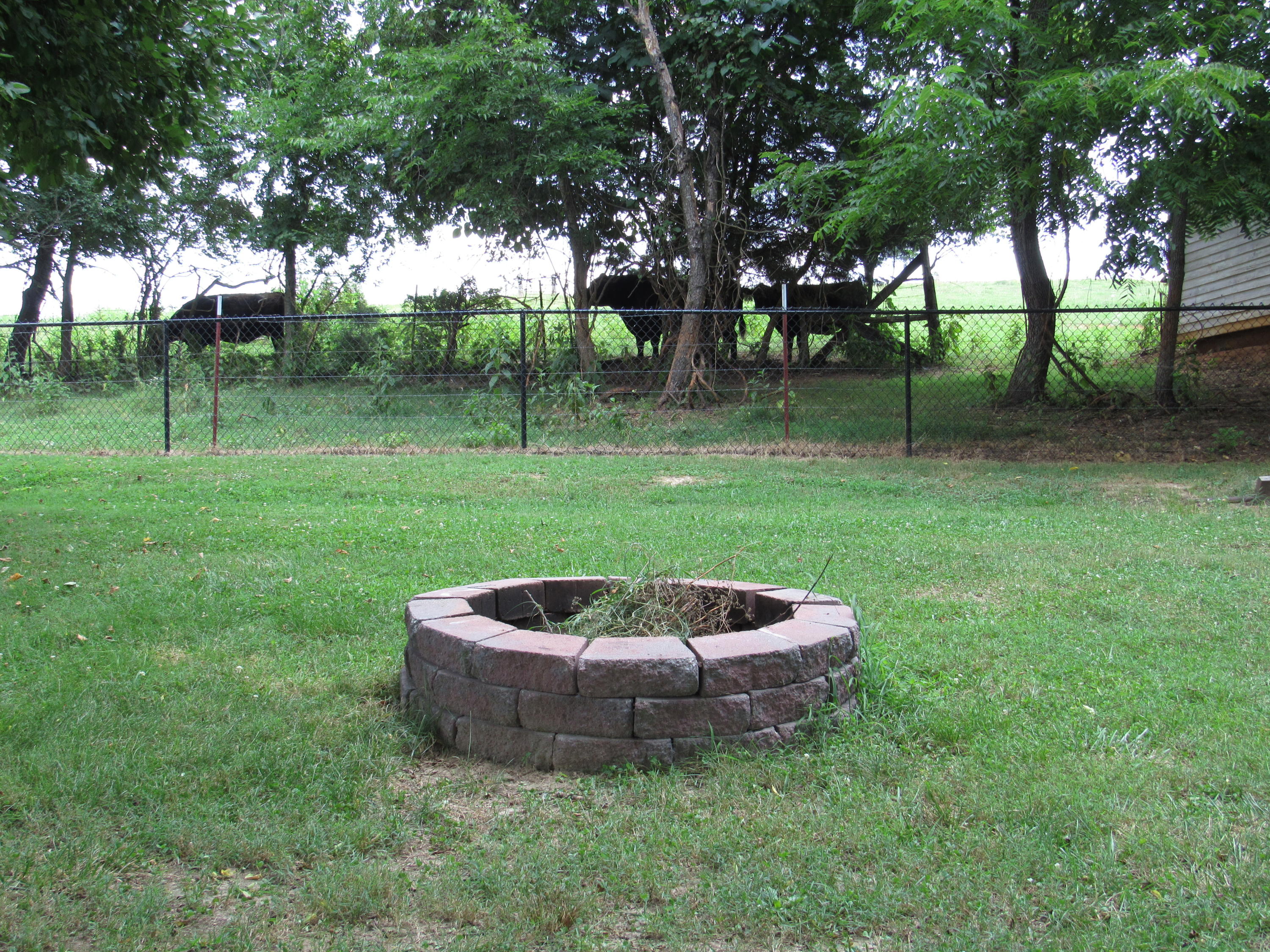 976 Friends Station Road New Market, TN 37820 - Photo 13 of 29 IMG_1397
