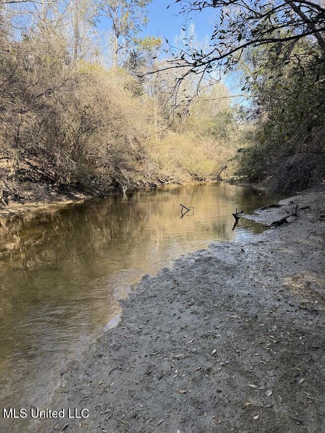 Pete Hickman Road Saucier, MS 39574 - Photo 15 of 28 IMG_1034