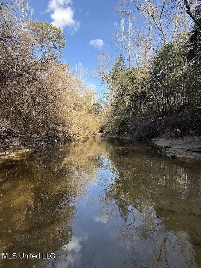 Pete Hickman Road Saucier, MS 39574 - Photo 17 of 28 IMG_1036