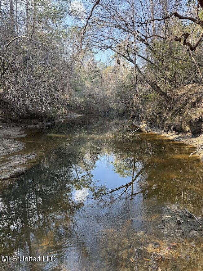 Pete Hickman Road Saucier, MS 39574 - Photo 20 of 28 IMG_1042