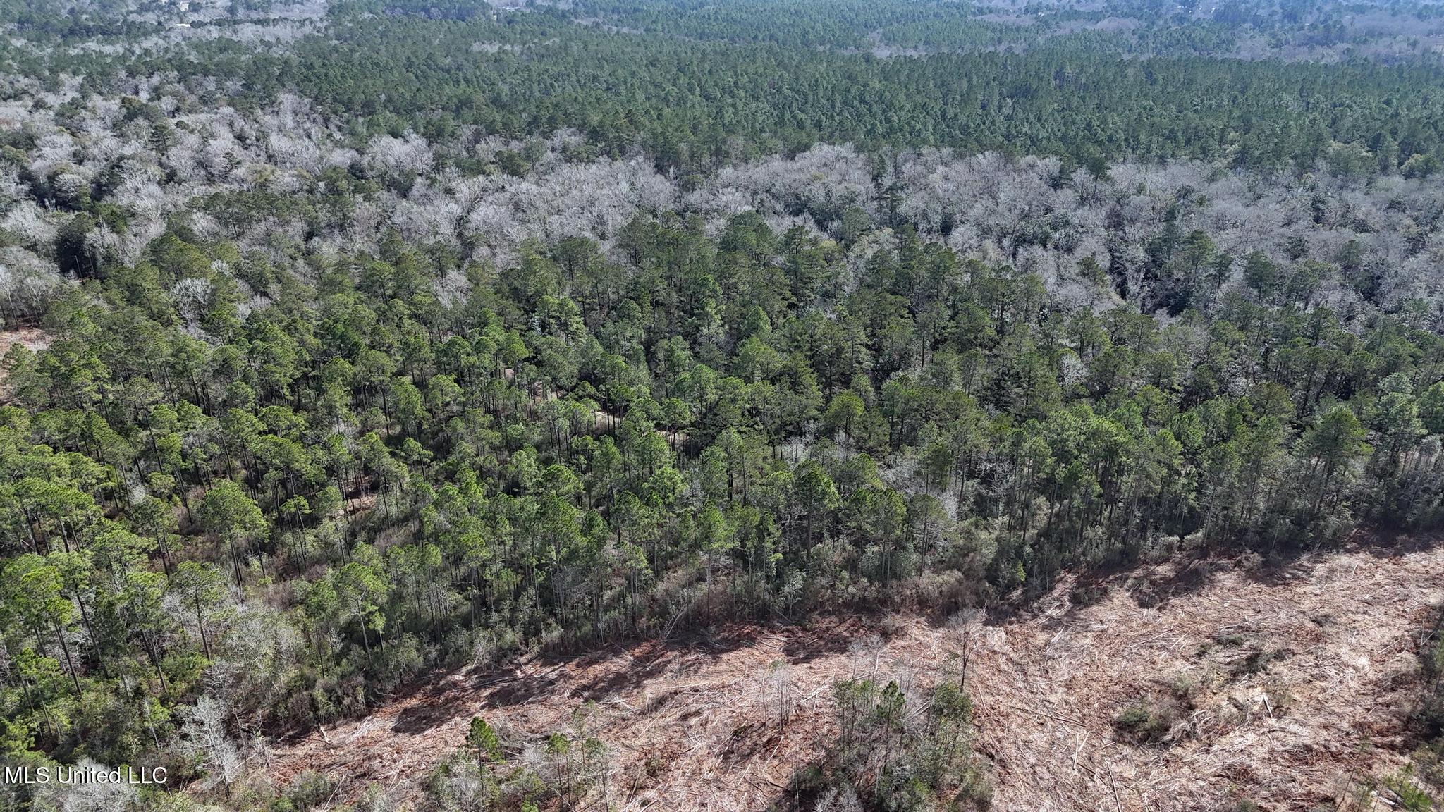 Pete Hickman Road Saucier, MS 39574 - Photo 21 of 28 003