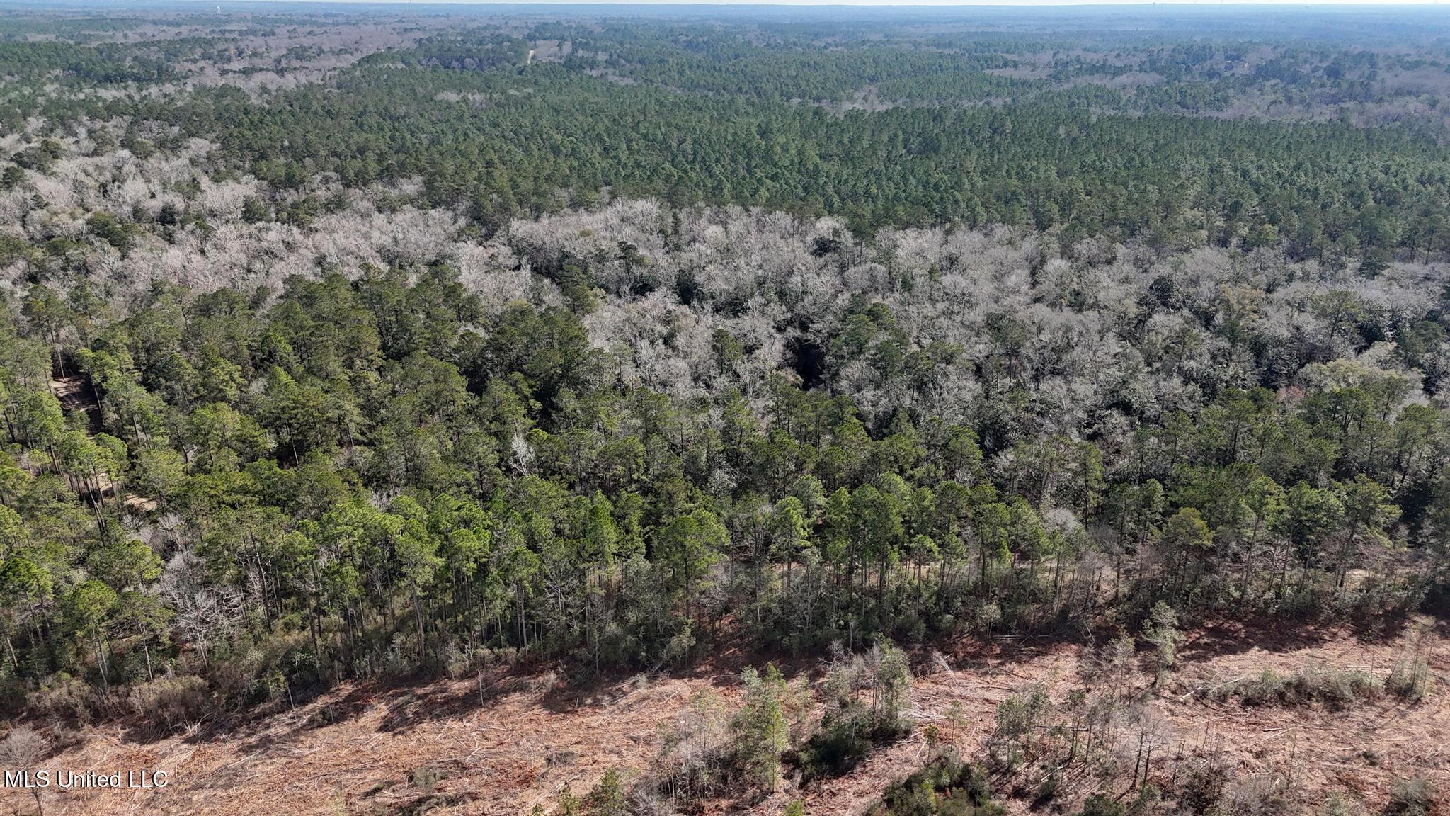 Pete Hickman Road Saucier, MS 39574 - Photo 22 of 28 004