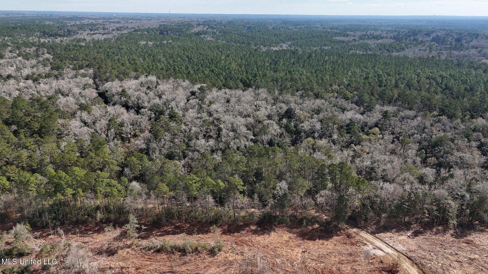 Pete Hickman Road Saucier, MS 39574 - Photo 23 of 28 005
