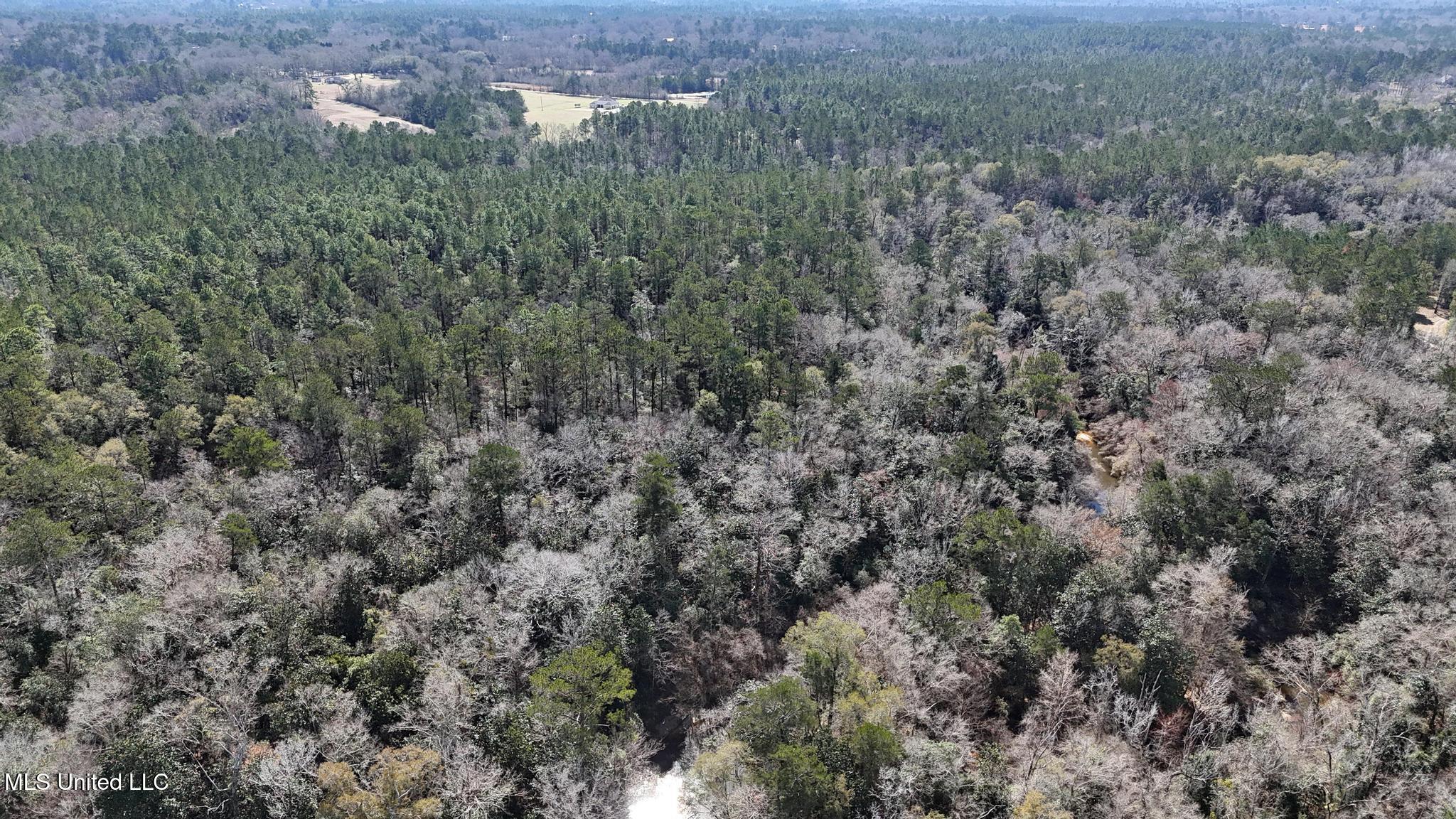 Pete Hickman Road Saucier, MS 39574 - Photo 24 of 28 006