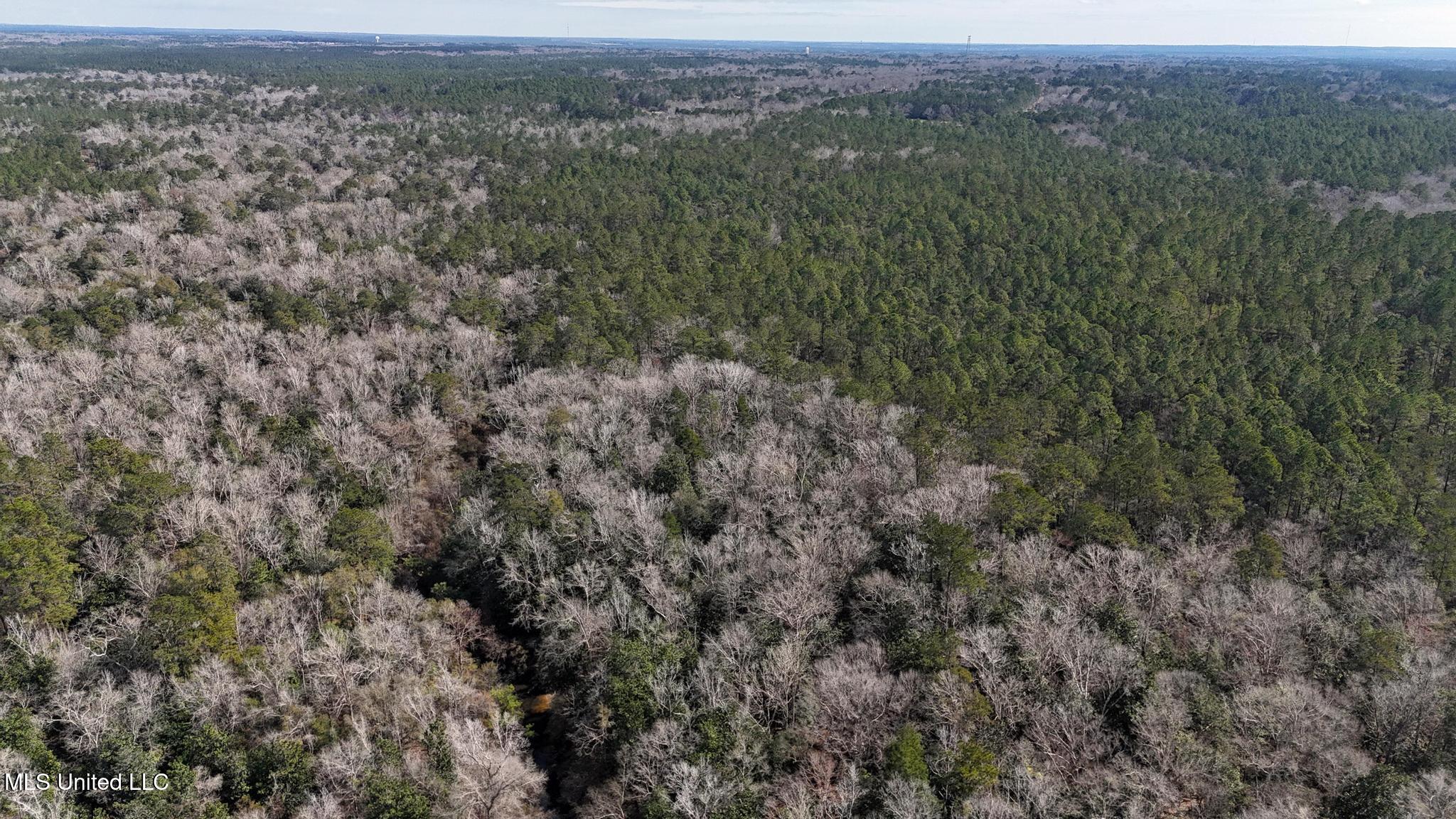 Pete Hickman Road Saucier, MS 39574 - Photo 26 of 28 008