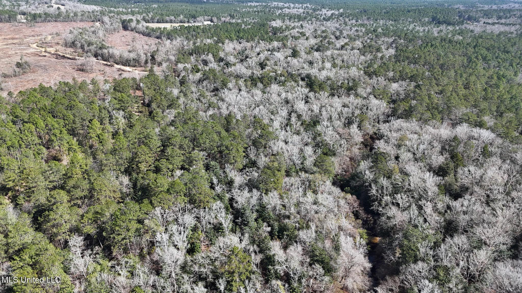 Pete Hickman Road Saucier, MS 39574 - Photo 27 of 28 009