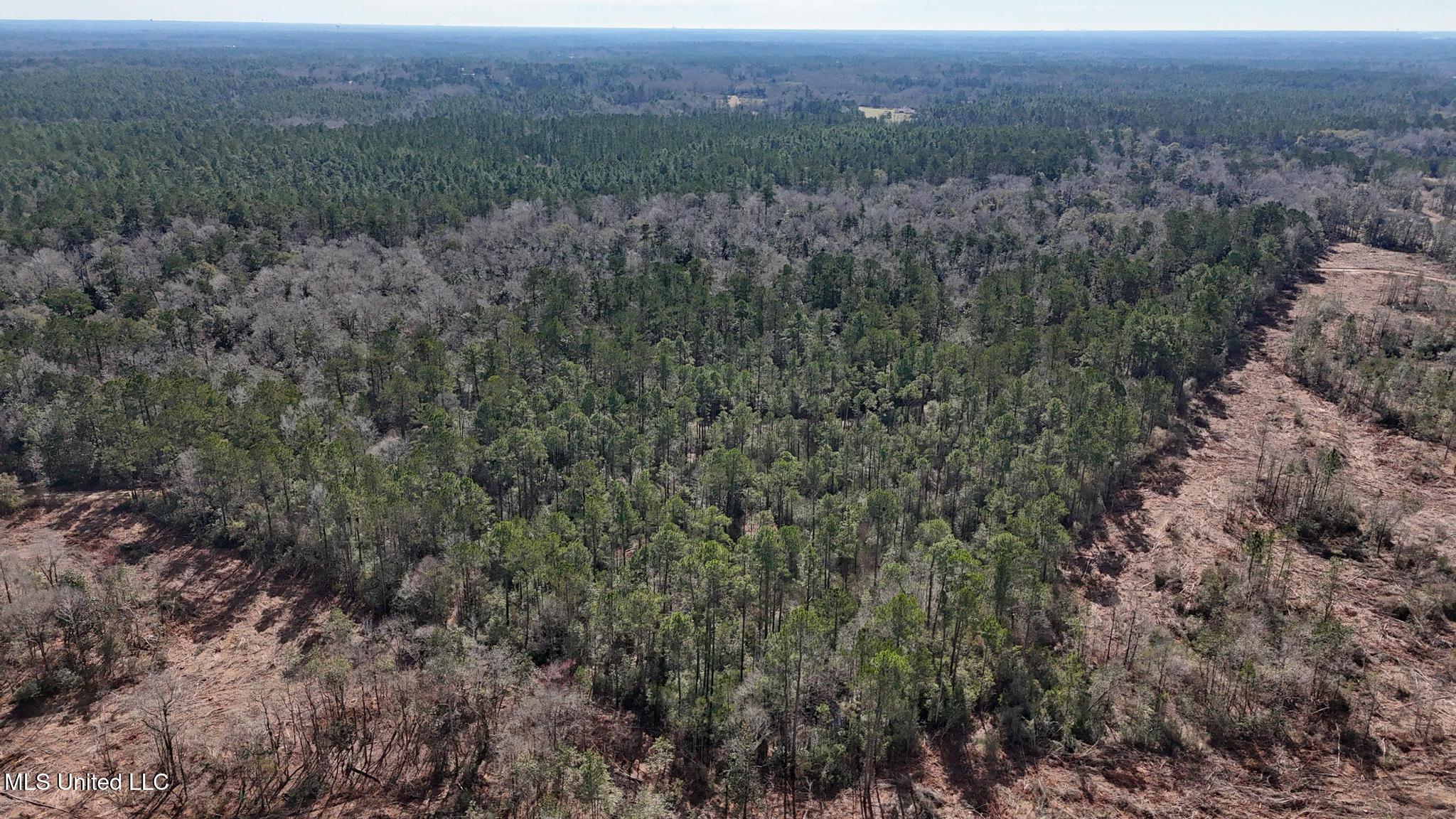 Pete Hickman Road Saucier, MS 39574 - Photo 3 of 28 002