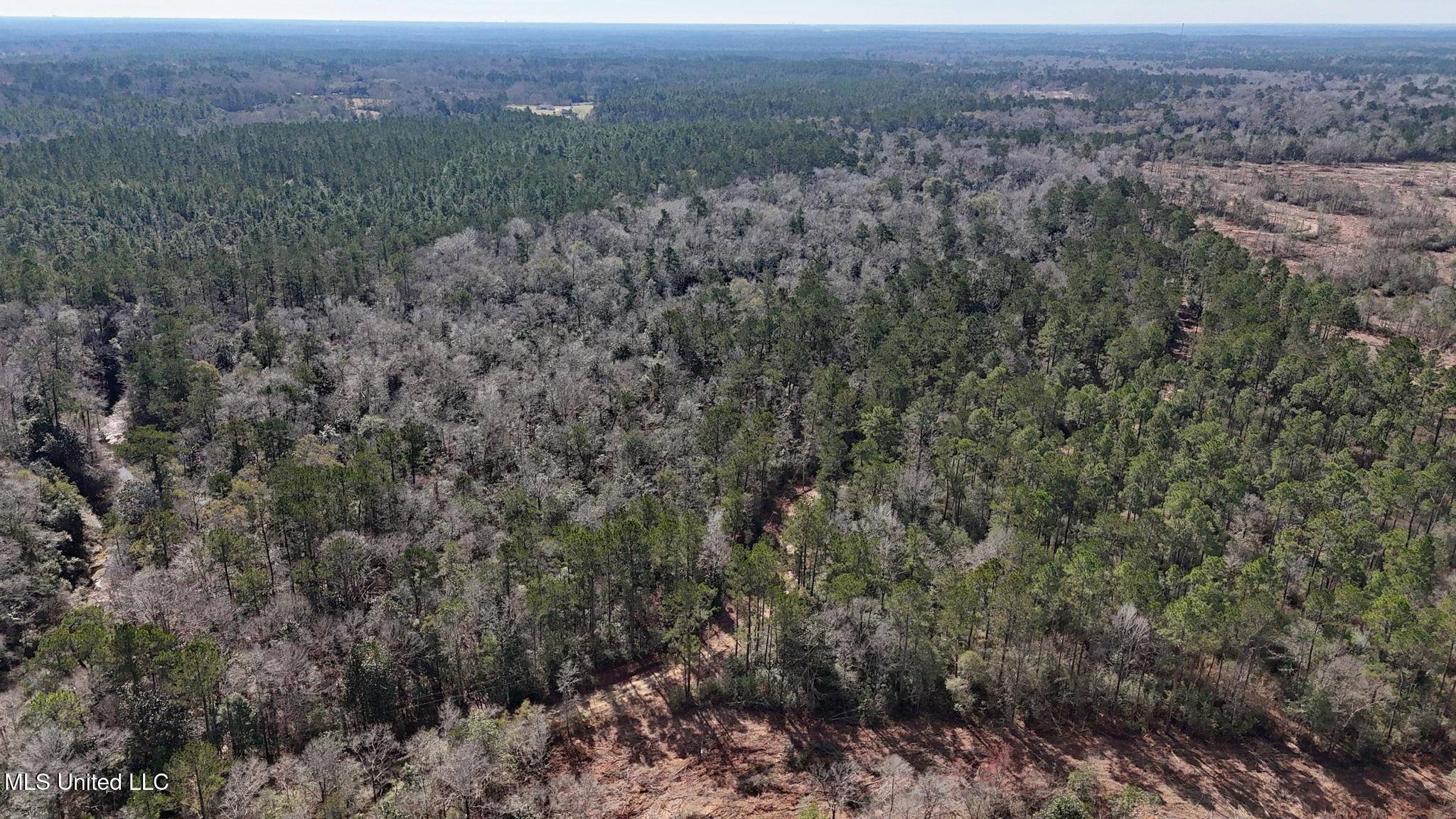 Pete Hickman Road Saucier, MS 39574 - Photo 4 of 28 001