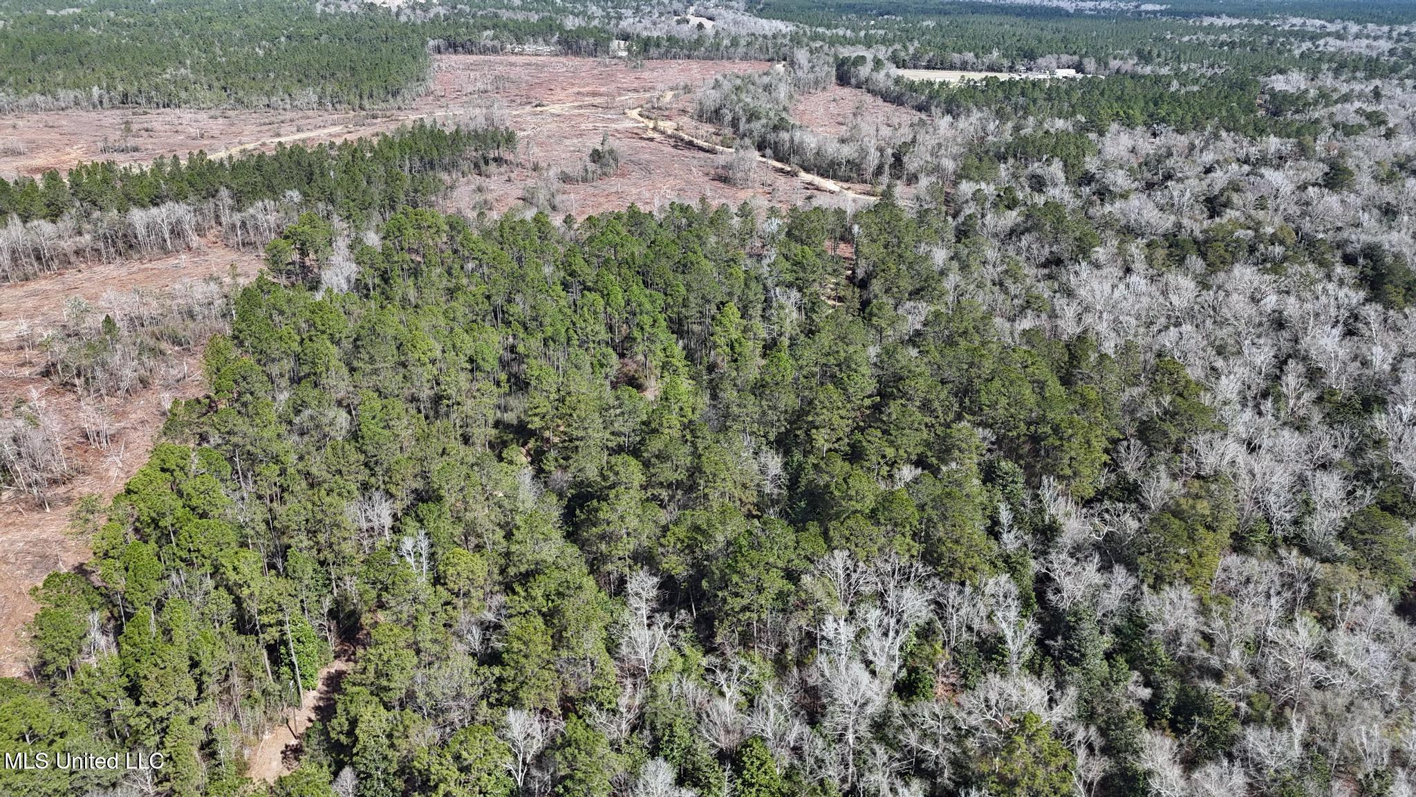 Pete Hickman Road Saucier, MS 39574 - Photo 5 of 28 010