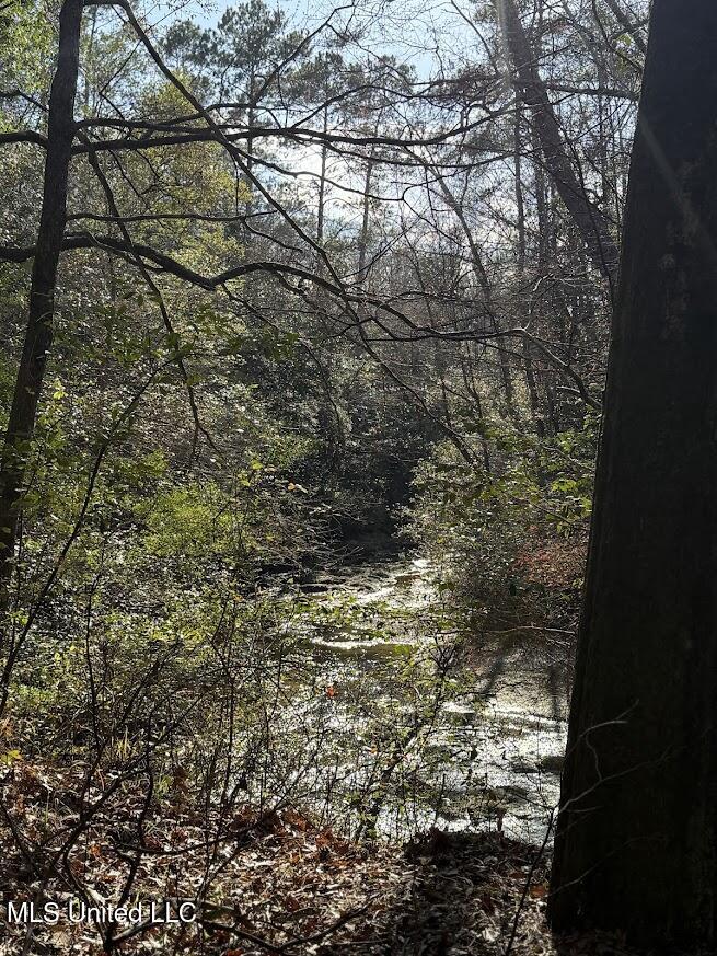 Pete Hickman Road Saucier, MS 39574 - Photo 6 of 28 IMG_1041