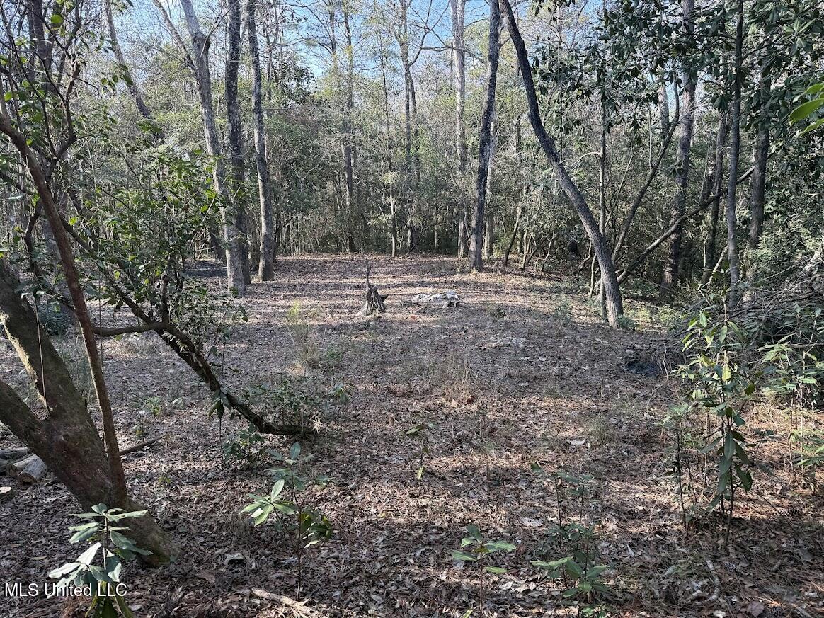 Pete Hickman Road Saucier, MS 39574 - Photo 7 of 28 IMG_1046