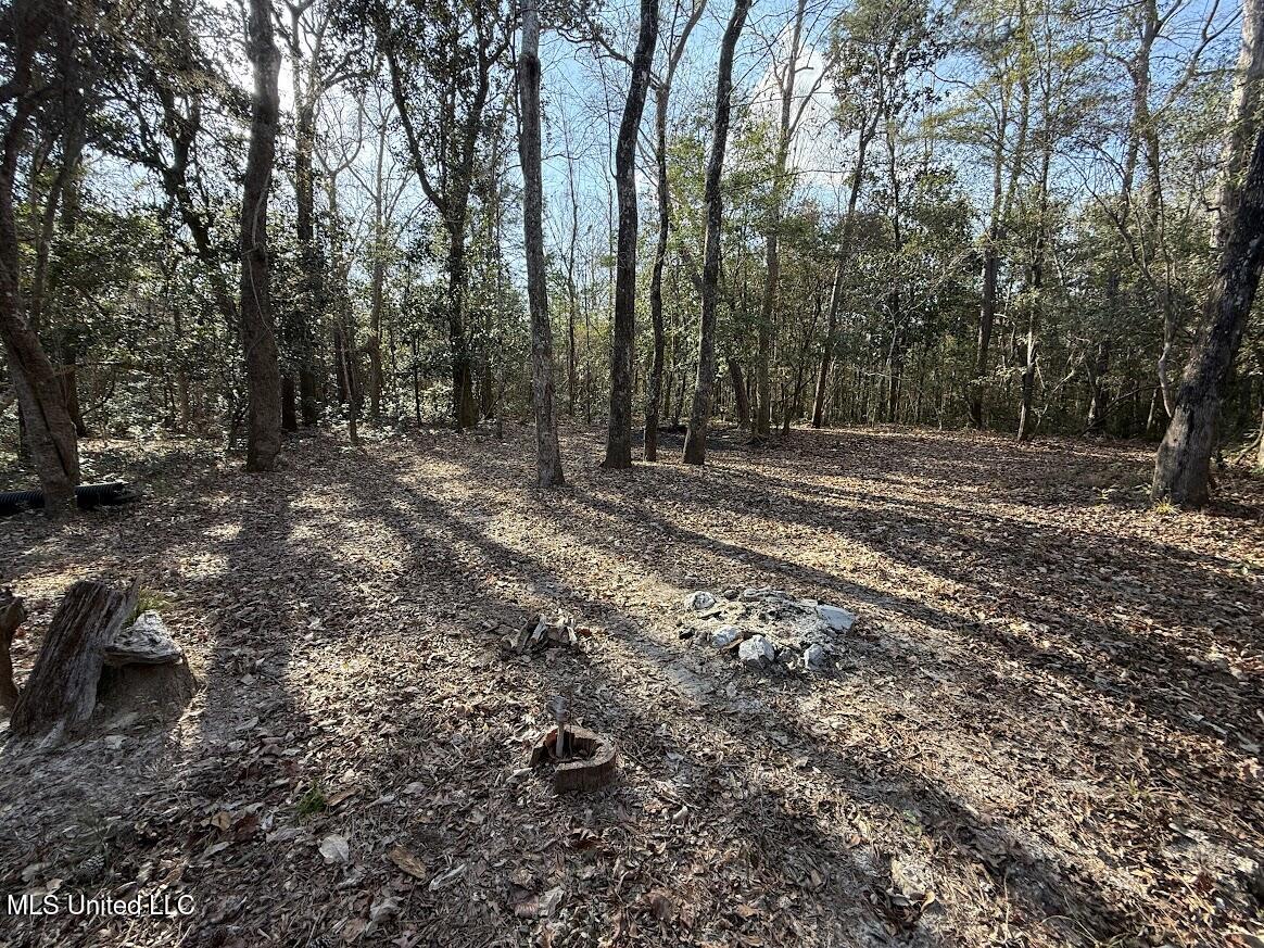 Pete Hickman Road Saucier, MS 39574 - Photo 8 of 28 IMG_1049