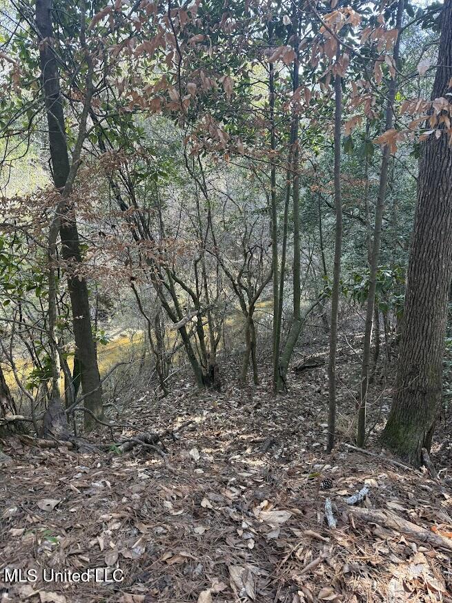 Pete Hickman Road Saucier, MS 39574 - Photo 9 of 28 IMG_1027