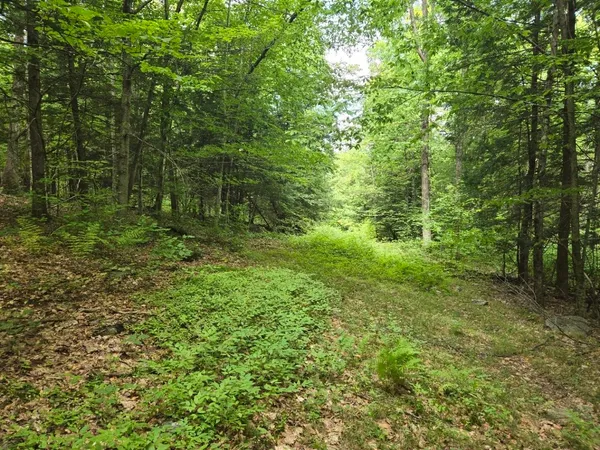 $950,000 | Crotty Drive, Bellows Falls, VT 05101