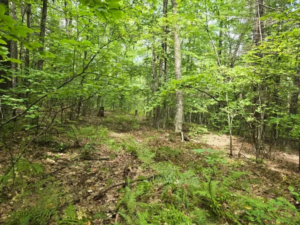 $950,000 | Crotty Drive, Bellows Falls, VT 05101