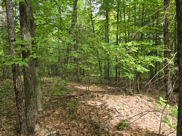 $950,000 | Crotty Drive, Bellows Falls, VT 05101