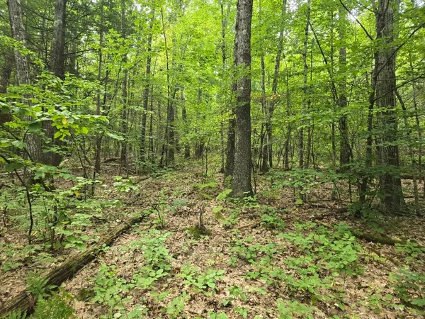 $950,000 | Crotty Drive, Bellows Falls, VT 05101