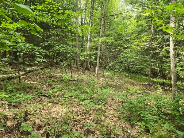 $950,000 | Crotty Drive, Bellows Falls, VT 05101