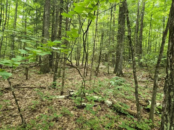 $950,000 | Crotty Drive, Bellows Falls, VT 05101