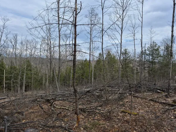 $950,000 | Crotty Drive, Bellows Falls, VT 05101