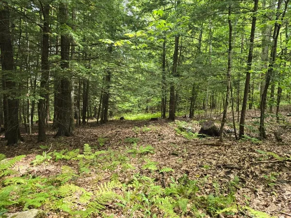 $950,000 | Crotty Drive, Bellows Falls, VT 05101
