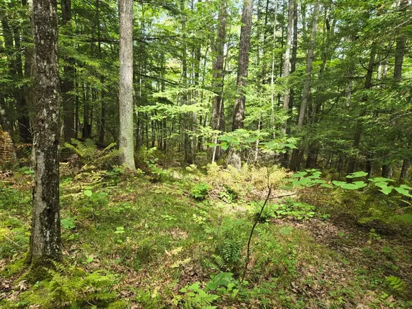 $950,000 | Crotty Drive, Bellows Falls, VT 05101
