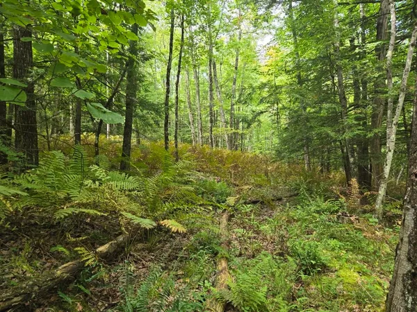 $950,000 | Crotty Drive, Bellows Falls, VT 05101