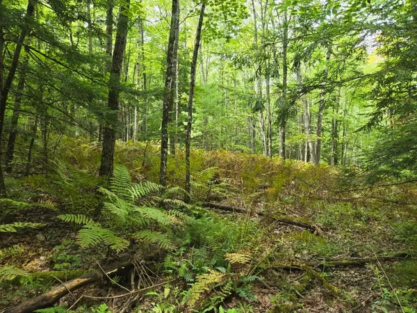 $950,000 | Crotty Drive, Bellows Falls, VT 05101