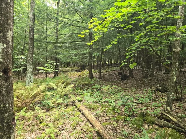 $950,000 | Crotty Drive, Bellows Falls, VT 05101