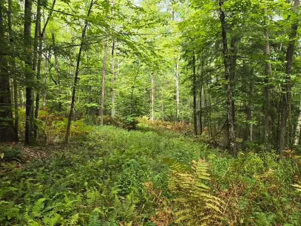 $950,000 | Crotty Drive, Bellows Falls, VT 05101