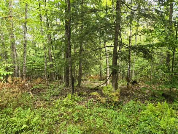 $950,000 | Crotty Drive, Bellows Falls, VT 05101