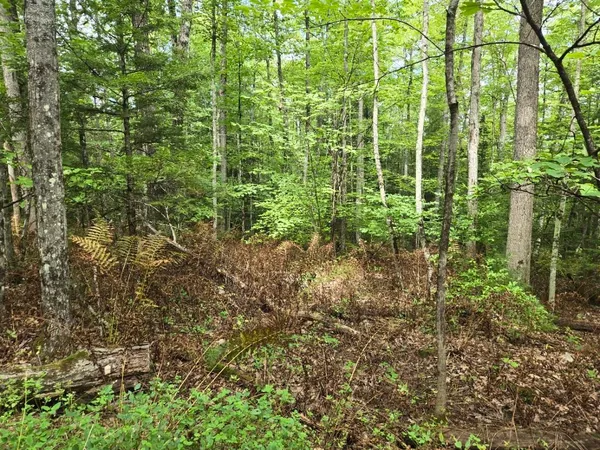 $950,000 | Crotty Drive, Bellows Falls, VT 05101