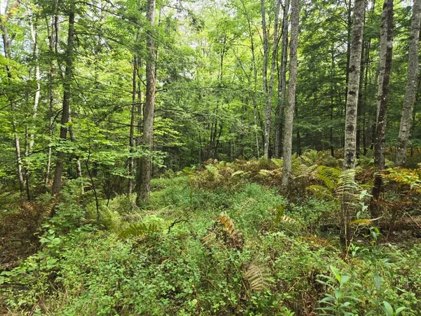 $950,000 | Crotty Drive, Bellows Falls, VT 05101