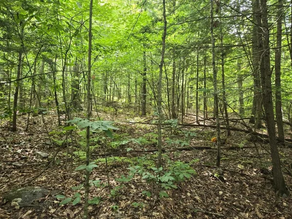 $950,000 | Crotty Drive, Bellows Falls, VT 05101