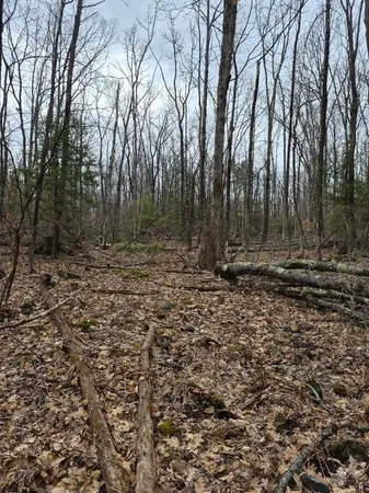 $950,000 | Crotty Drive, Bellows Falls, VT 05101